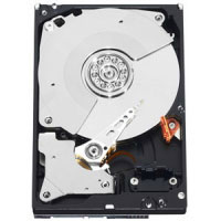 Western digital 250GB WD RE4 (WD2503ABYX)